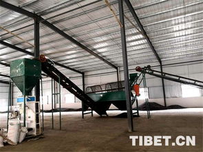 打好 組合拳 搬 出新生活