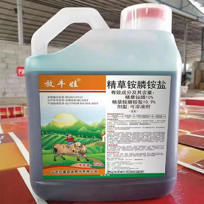 放牛娃的致富路 從牛糞到綠色財(cái)富的肥料轉(zhuǎn)型